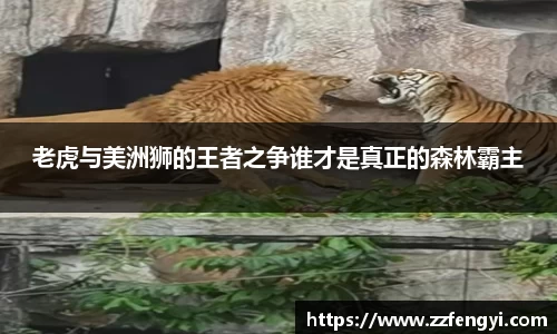 JN江南体育